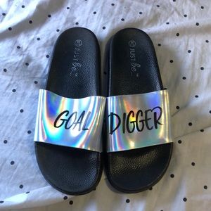 holographic Goal Digger slides